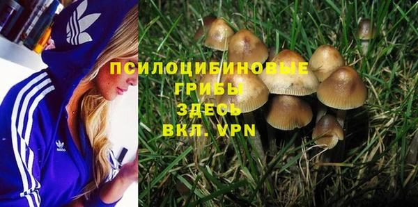 ешки Володарск