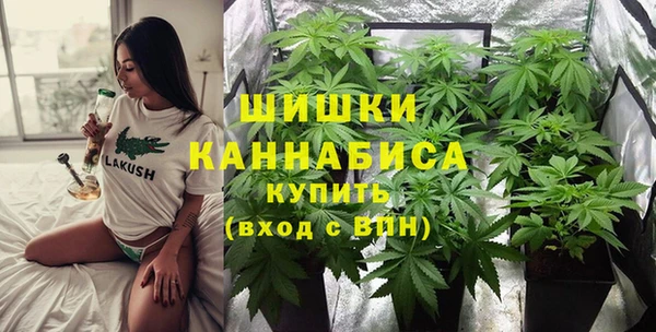 мдпв Волосово