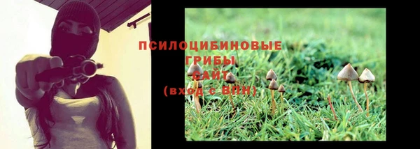 МДМА Бугульма
