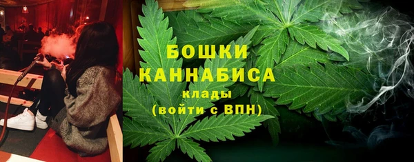 мдпв Волосово