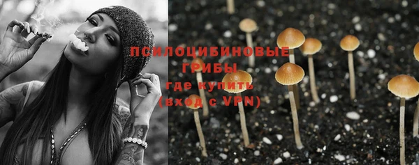 бутик Бородино